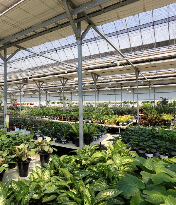 식물 전구, 식물 성장 램프(LED 12W)